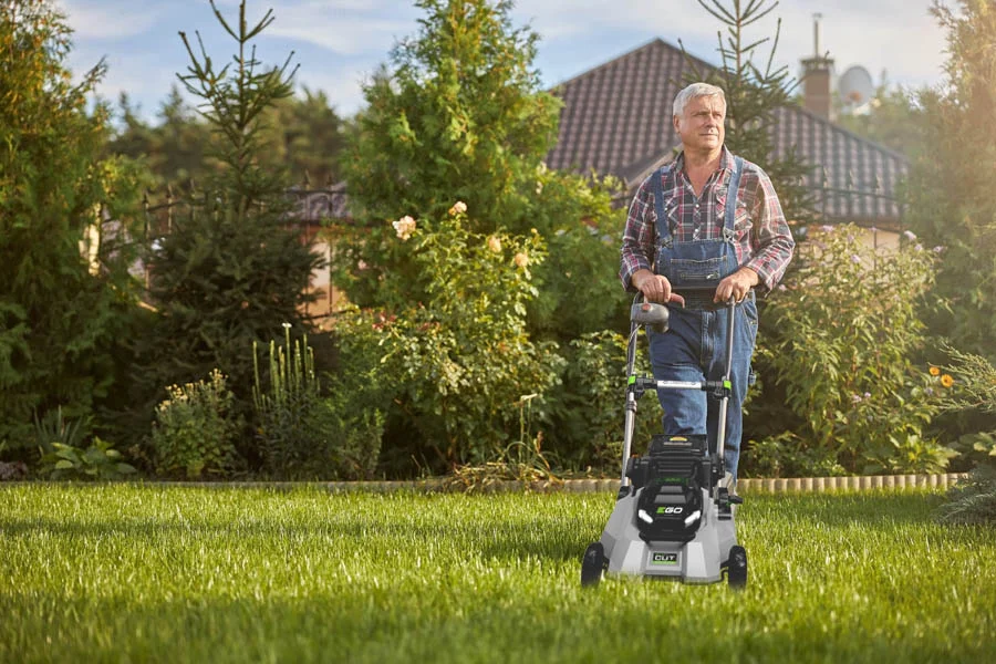 best inexpensive lawn mower