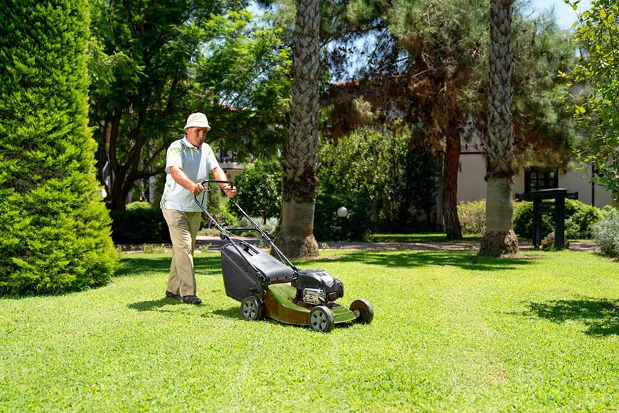 battery powered lawn mowers reviews